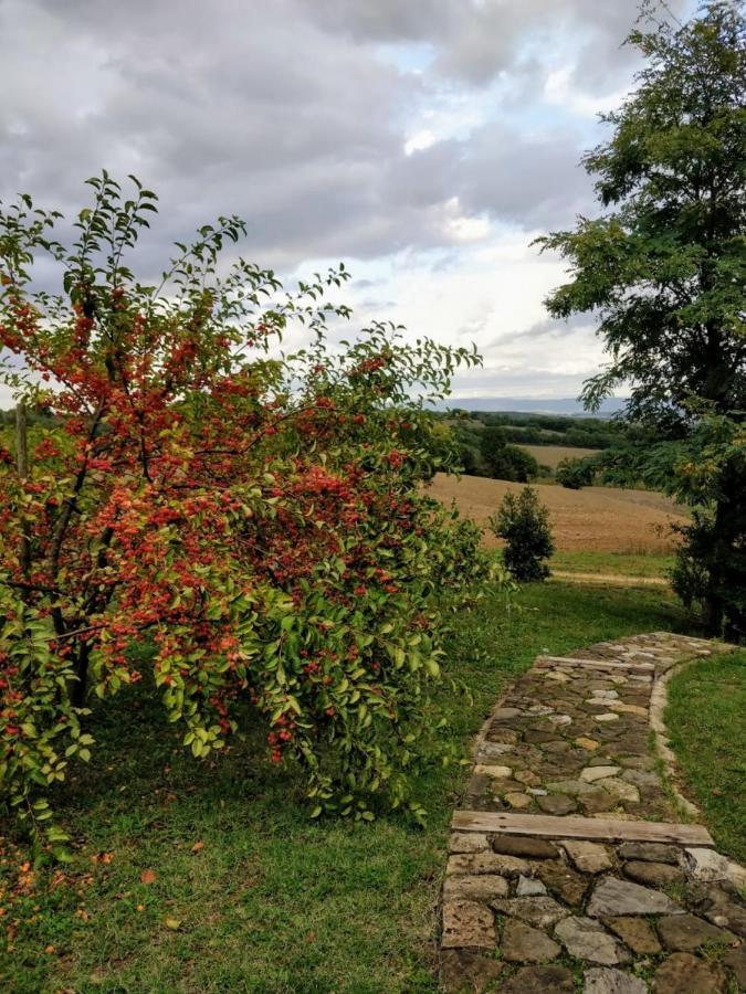 La Casa Di Arianna Casole dʼElsa Exterior foto
